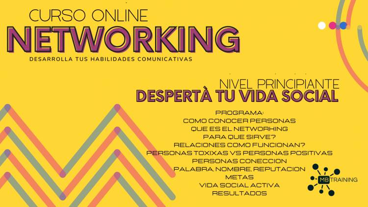 Networking el arte de sembrar relaciones y construir tu Red Profesional