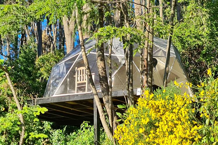 De viajes, campings y glamping en el turismo actual